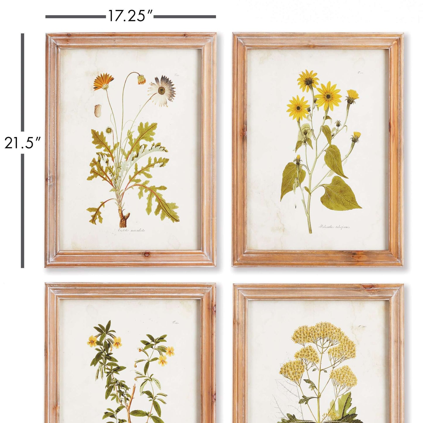 Vintage Wildflower Botanical Prints Set in Rustic Wood Frames (Set of 4)