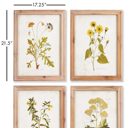 Vintage Wildflower Botanical Prints Set in Rustic Wood Frames (Set of 4)