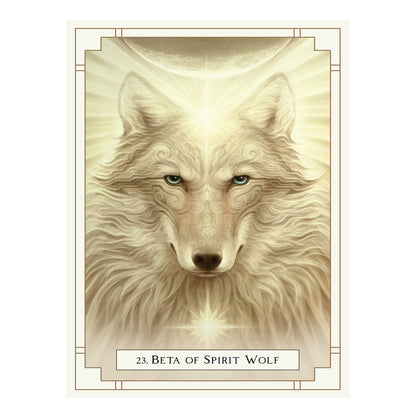 White Light Oracle