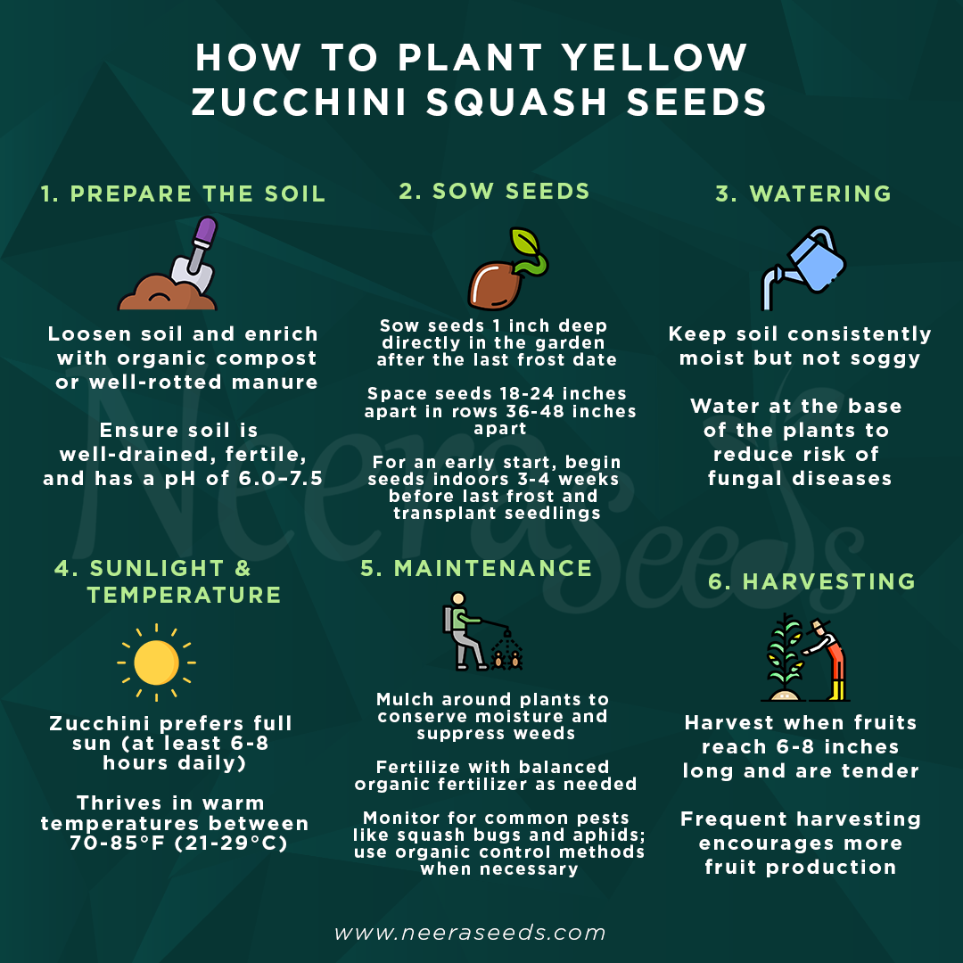 Yellow Zucchini Squash Vegetable Seeds for Planting – Heirloom & Non-GMO Garden Seeds