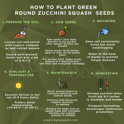 Green Zucchini Long Squash Seeds for Planting – Heirloom, Non-GMO, High-Yield Garden Vegetable Seeds