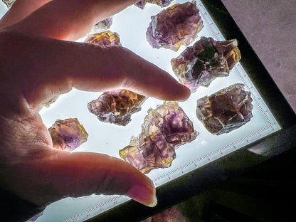ANHUI Yellow Fluorite with Thousand Layer Purple Phantoms, RARE Minerals