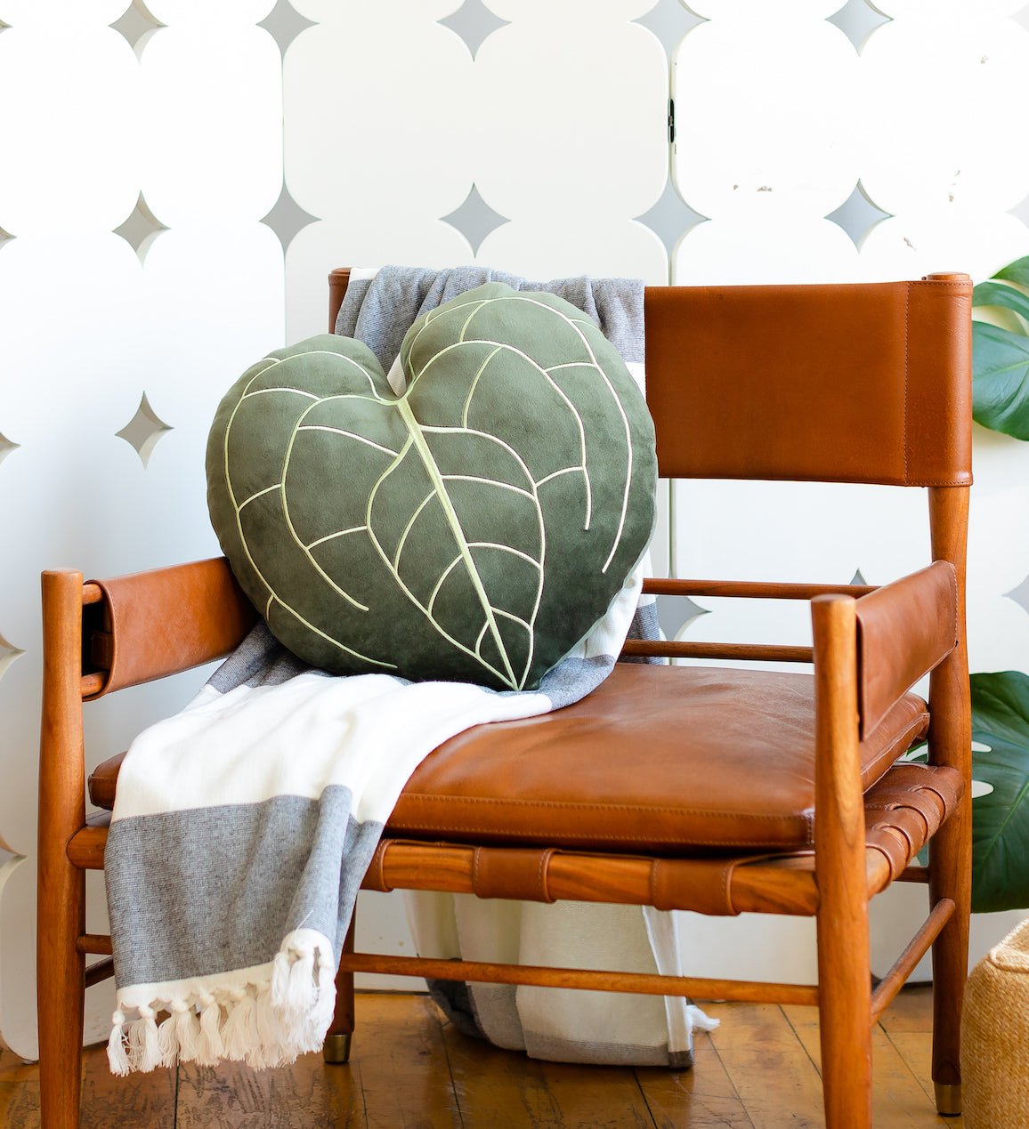 Anthurium Clarinervium - Khaki