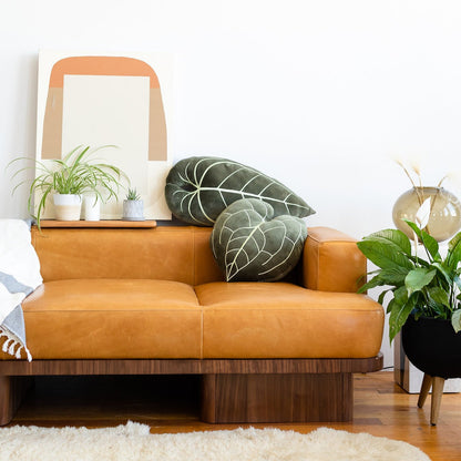 Anthurium Clarinervium - Khaki