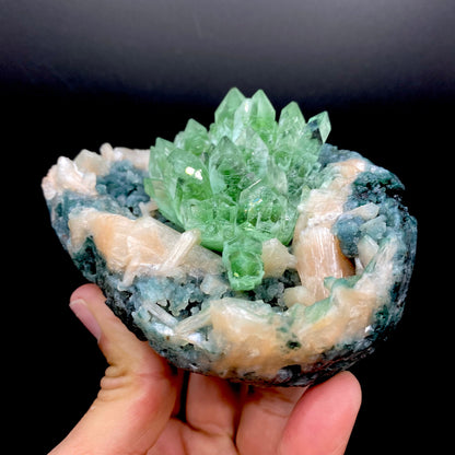 Apophyllite Green Flower on Chalcedony Natural Mineral Specimen