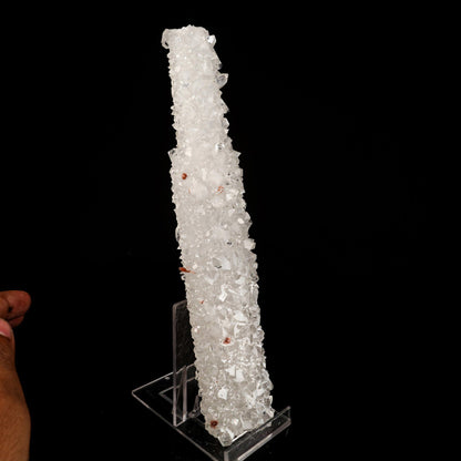 Apophyllite with Coated Calcite (Bat Shape) Natural Mineral Specimen