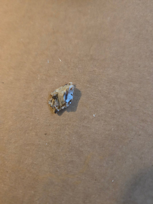 Astrophyllite