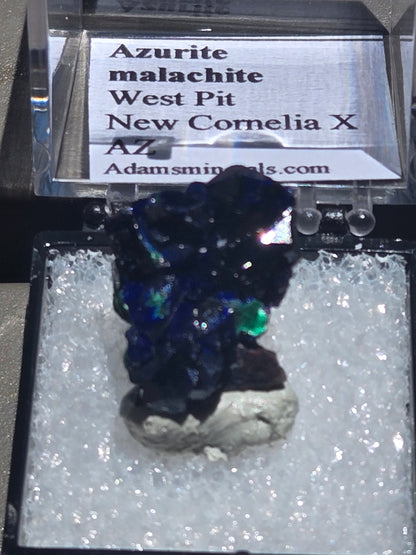 Azurite with Malachite – 1.5 cm Specimen | New Cornelia Mine, Arizona