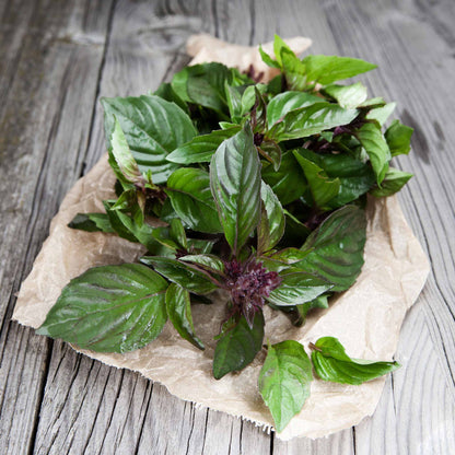 Thai Basil Herb Seeds for Planting – Heirloom, Non-GMO, High Germination Organic Garden Seeds for Culinary Use
