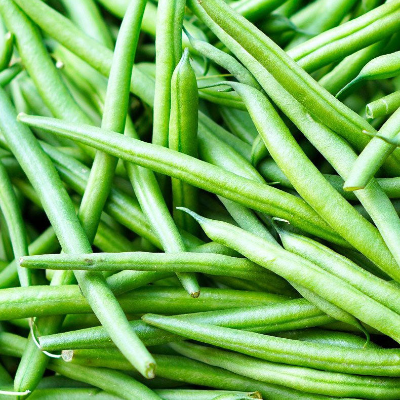 Pole Bean Seeds for Planting – High Yield, Non-GMO Climbing Green Beans for Home Garden and Vertical Growing