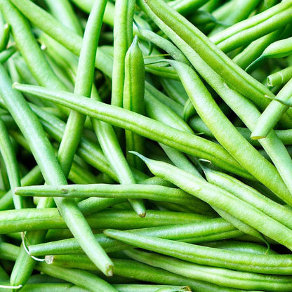 Pole Bean Seeds for Planting – High Yield, Non-GMO Climbing Green Beans for Home Garden and Vertical Growing