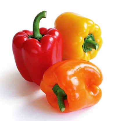 Sweet Bell Pepper Seeds for Planting – Colored PGH Hybrid, High Yield, Non-GMO Vegetable Seeds
