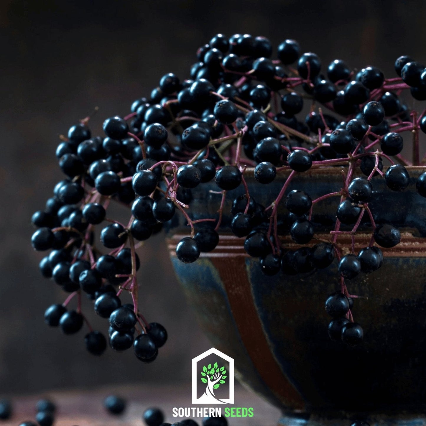 Berry Seed Collection (Elderberry • Blueberry • Strawberry)