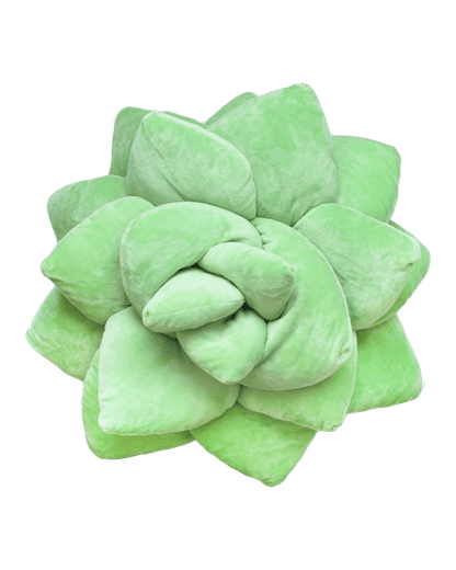 Big Pop Succulent® - Sage Green