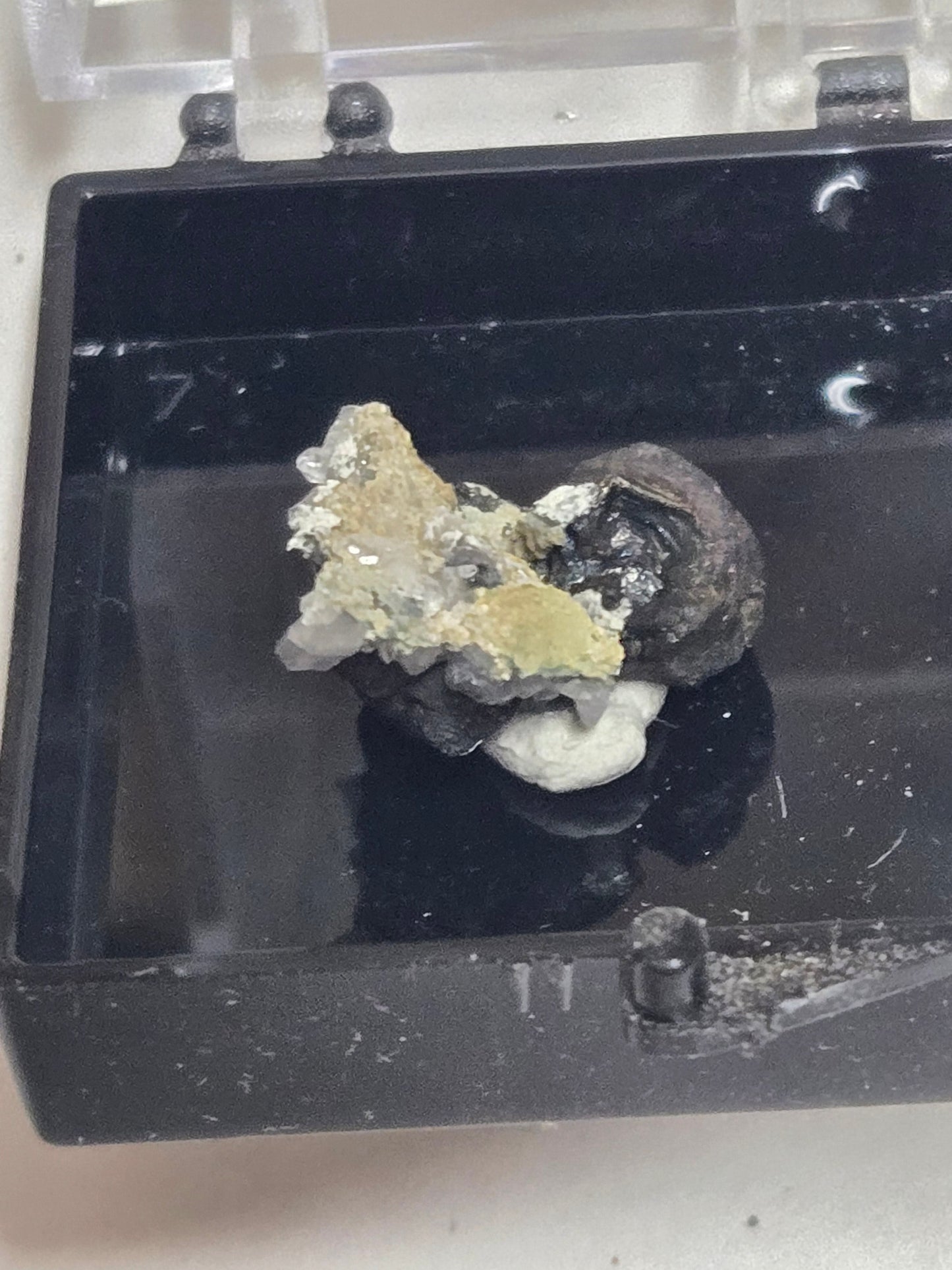 Bornite
