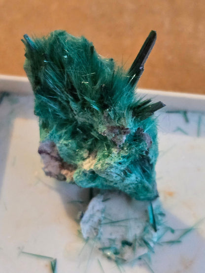 Brochantite – 2.4 cm Teal Blue Green Crystal from Milpillas Mexico