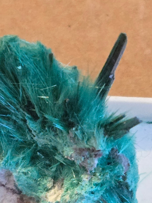 Brochantite – 2.4 cm Teal Blue Green Crystal from Milpillas Mexico