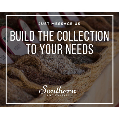 Butterfly Garden Seed Collection – 10 Varieties