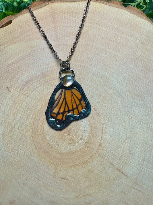 Butterfly Wing and Shell Necklace