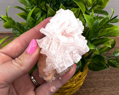 California Crystal Treasures: Halite Specimens from Searles Lake, San Bernardino County