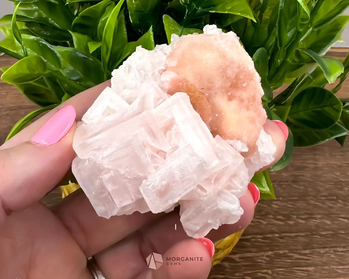 California Crystal Treasures: Halite Specimens from Searles Lake, San Bernardino County