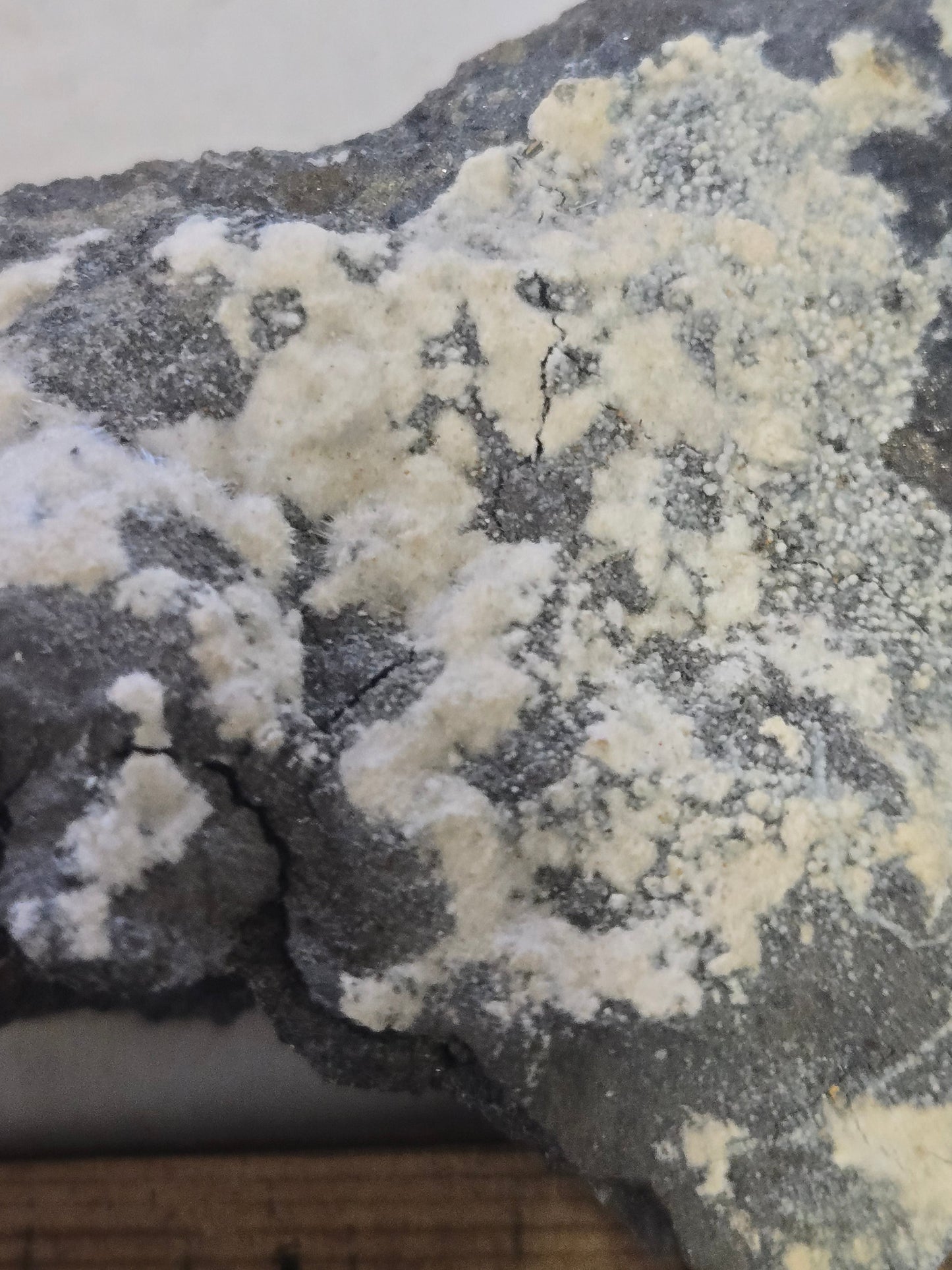 Canavesite