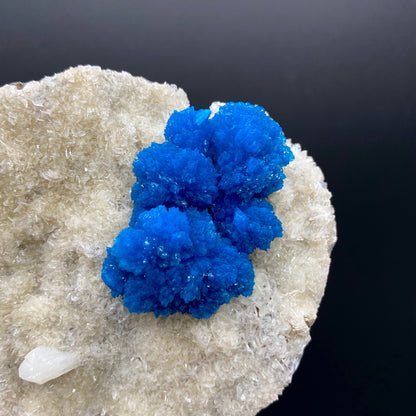 Cavansite - large, bold coloring