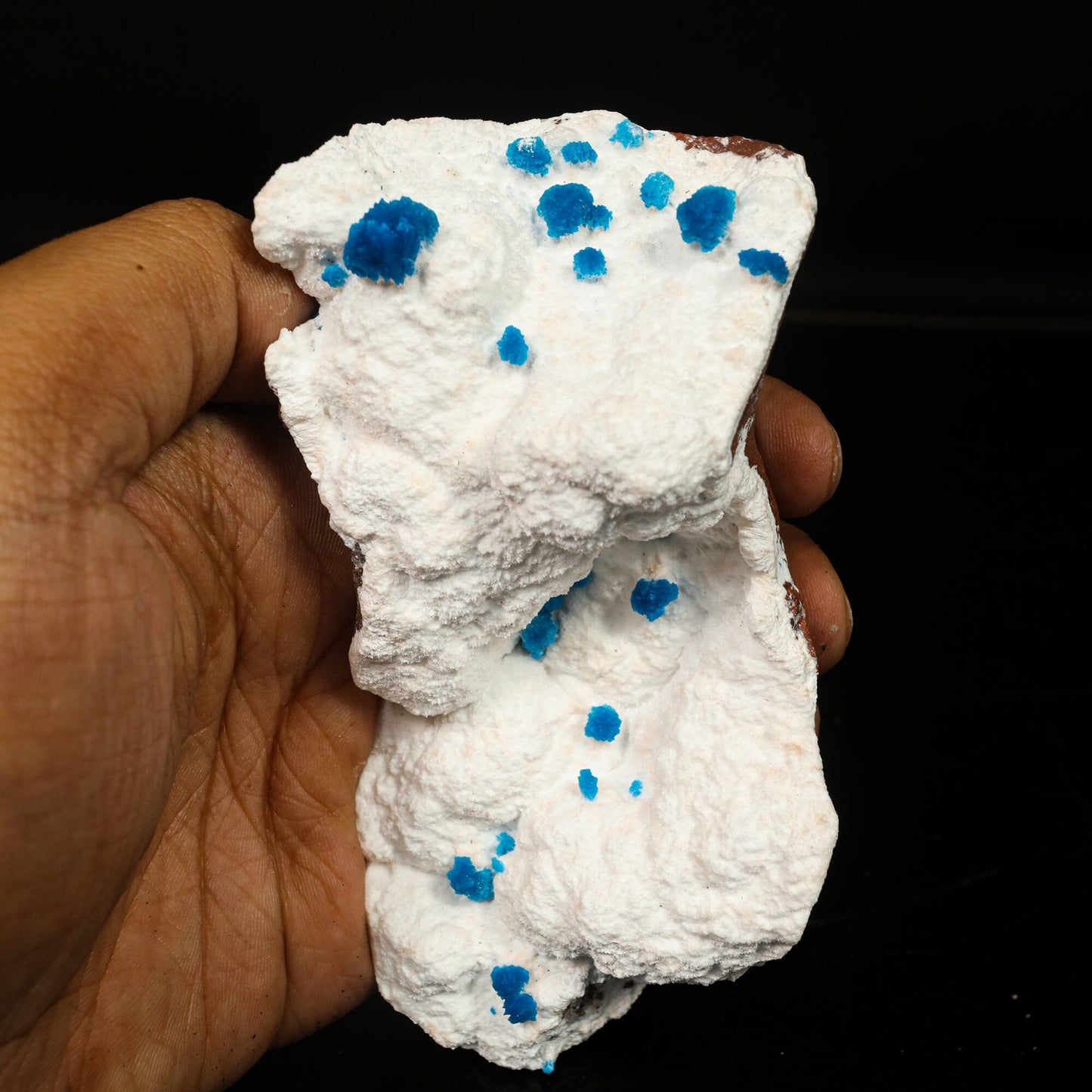 Cavansite on Modernite (Rare Find) Natural Mineral Specimen # B 6761