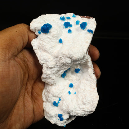 Cavansite on Modernite (Rare Find) Natural Mineral Specimen # B 6761