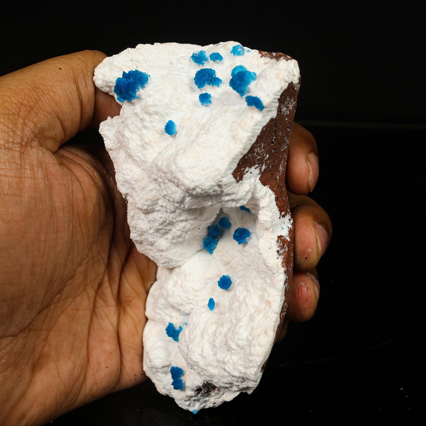 Cavansite on Modernite (Rare Find) Natural Mineral Specimen # B 6761