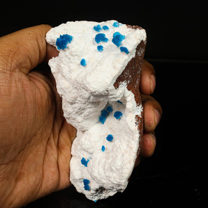 Cavansite on Modernite (Rare Find) Natural Mineral Specimen # B 6761