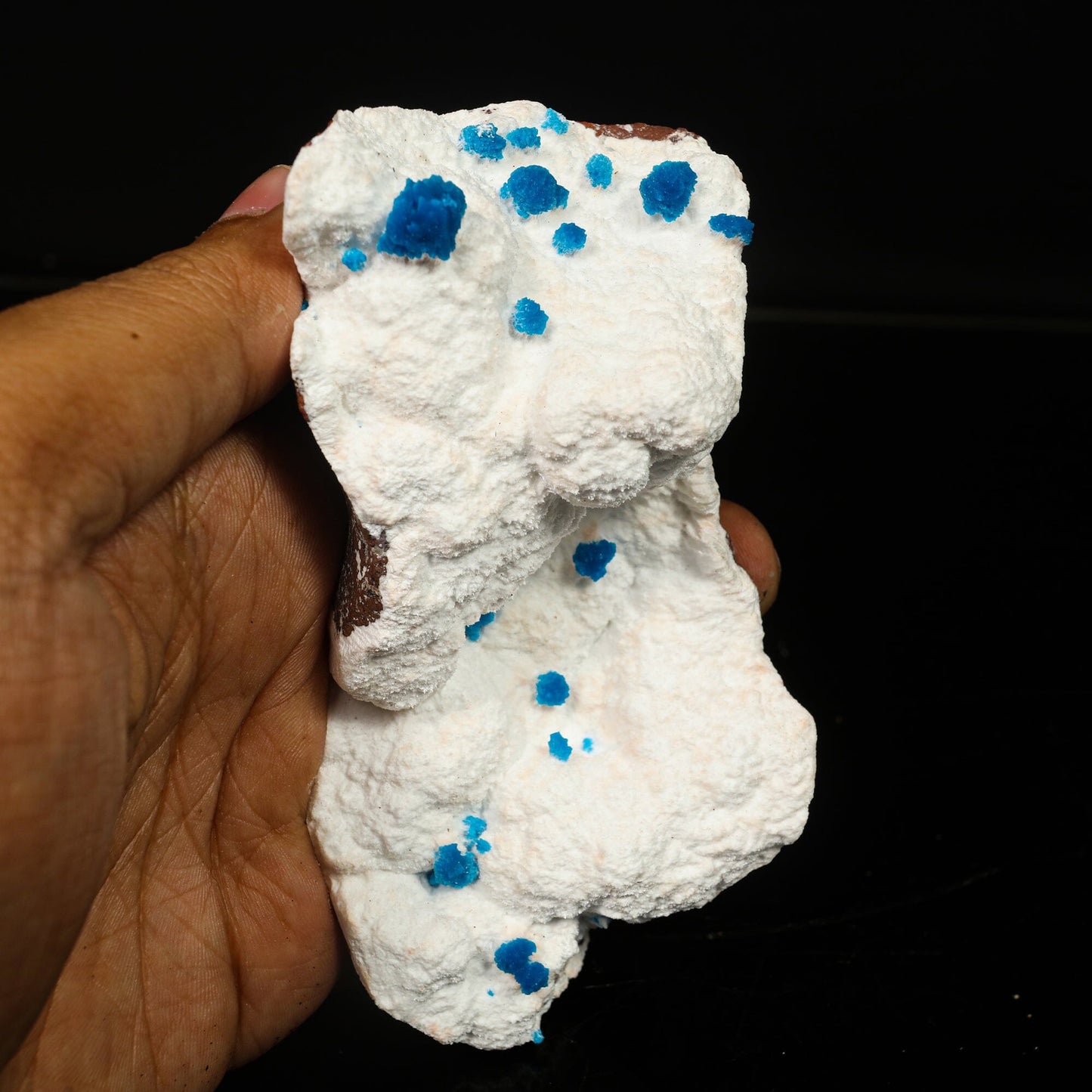 Cavansite on Modernite (Rare Find) Natural Mineral Specimen # B 6761