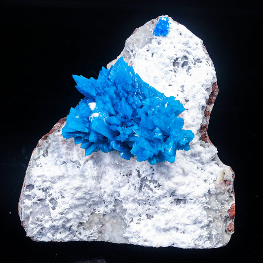 Cavansite on Mordenite (Rare Find) Natural Mineral Specimen  # B 7023