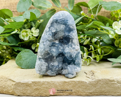 Celestite Geode Druzy Crystal Egg No. 3 – 4.5" × 3.4" × 1.7" | 776 g Sky‑Blue Specimen