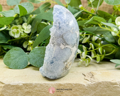 Celestite Geode Druzy Crystal Egg No. 3 – 4.5" × 3.4" × 1.7" | 776 g Sky‑Blue Specimen