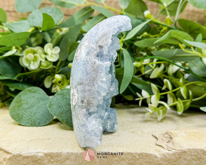 Celestite Geode Druzy Crystal Egg No. 3 – 4.5" × 3.4" × 1.7" | 776 g Sky‑Blue Specimen