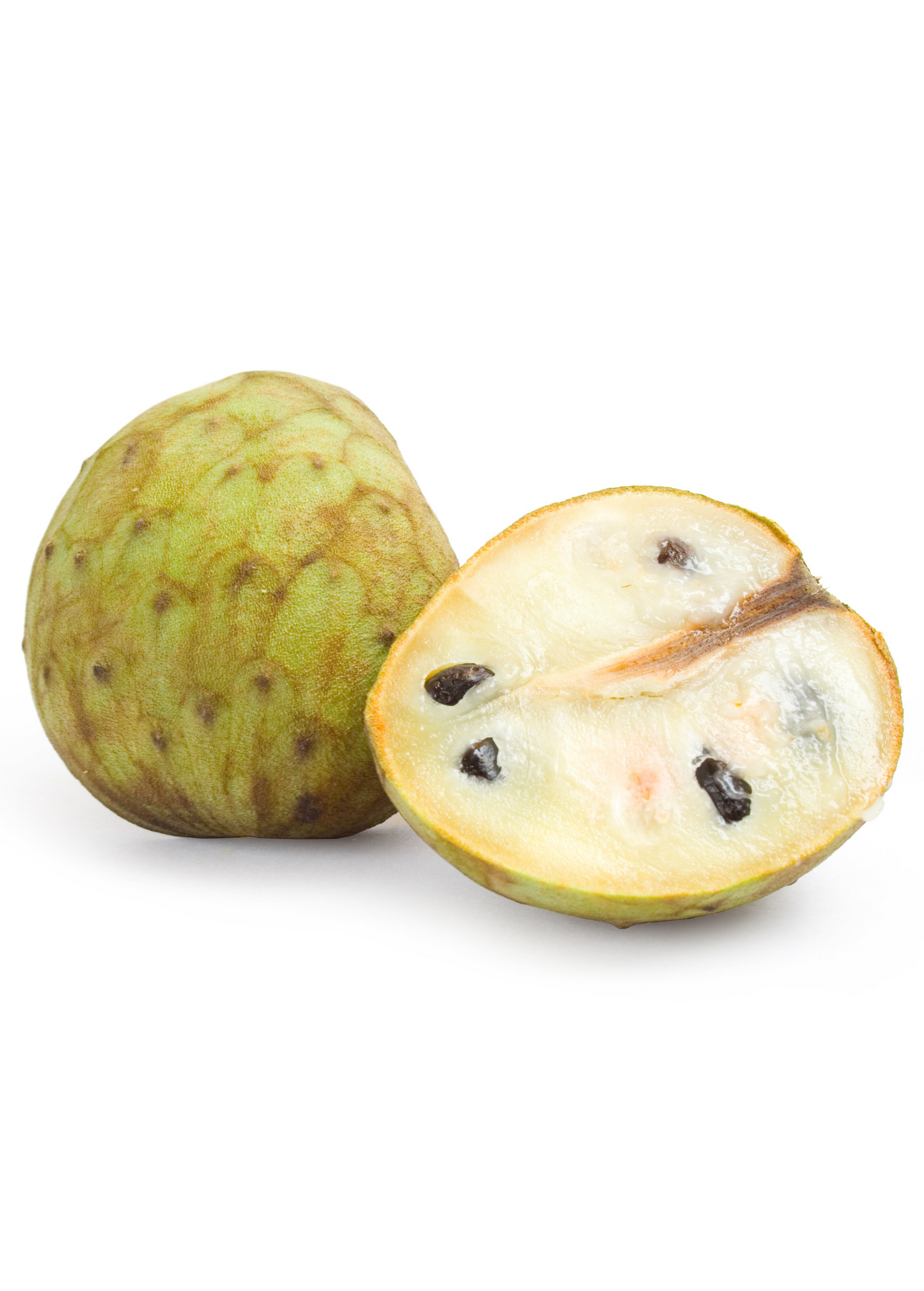 Cherimoya (Annona cherimola)