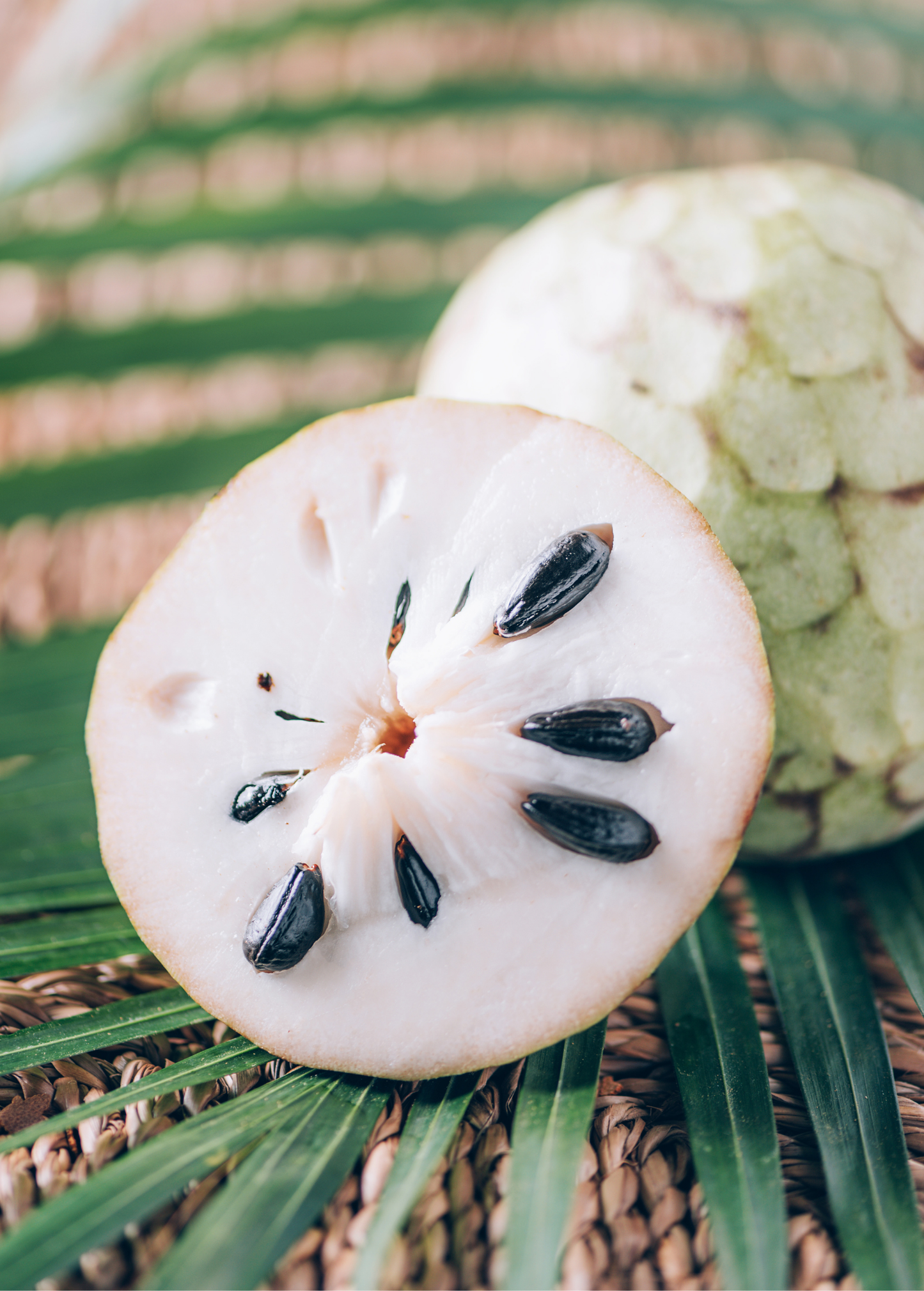 Cherimoya (Annona cherimola)