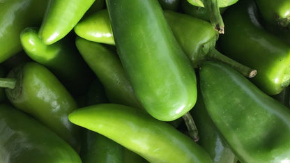 Indian Short Green Chili Seeds – Bullet Chili Vegetable Seeds for Planting, High Yield, Non-GMO, Spicy Variety