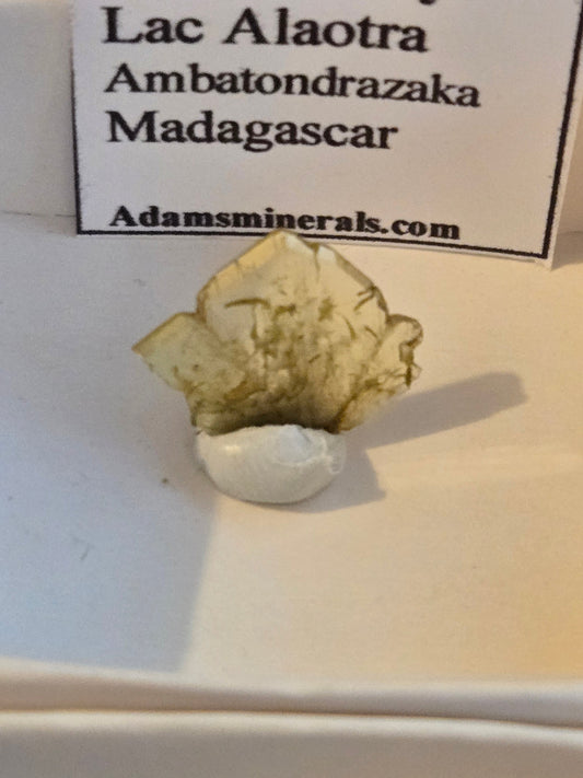 Chrysoberyl