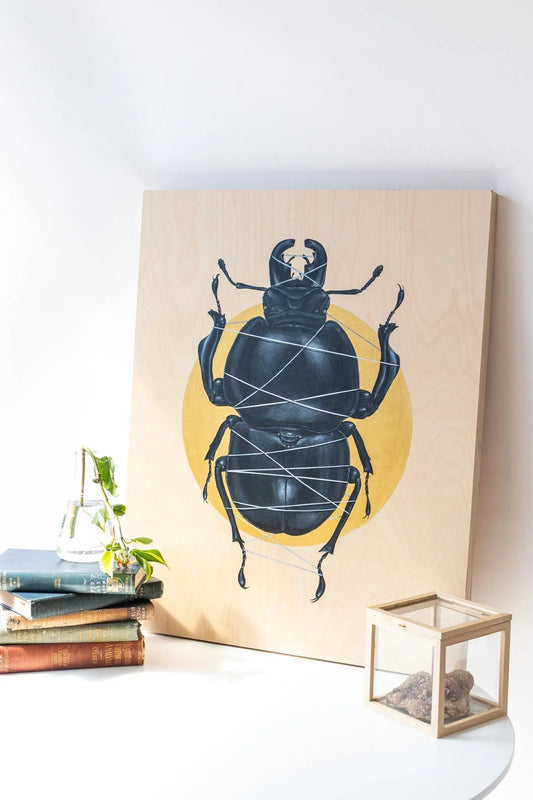 Colophon Whitei Painting