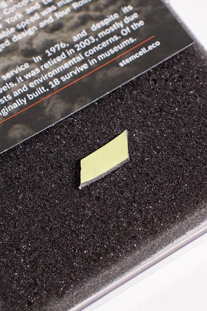 Concorde Airframe Fragment