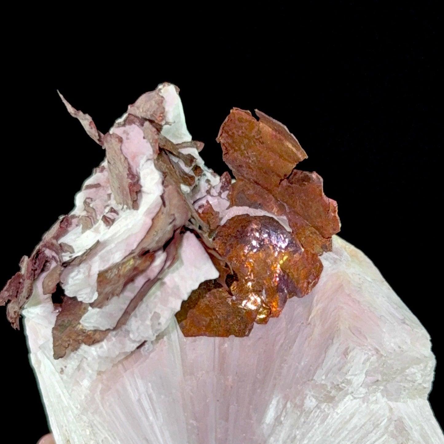 Copper on Scolecite | High Quality Mineral | Indian Minerals | Superb Minerals | Fine Mineral | Collectors Piece