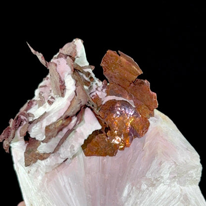 Copper on Scolecite | High Quality Mineral | Indian Minerals | Superb Minerals | Fine Mineral | Collectors Piece