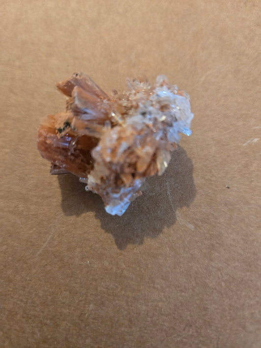 Creedite
