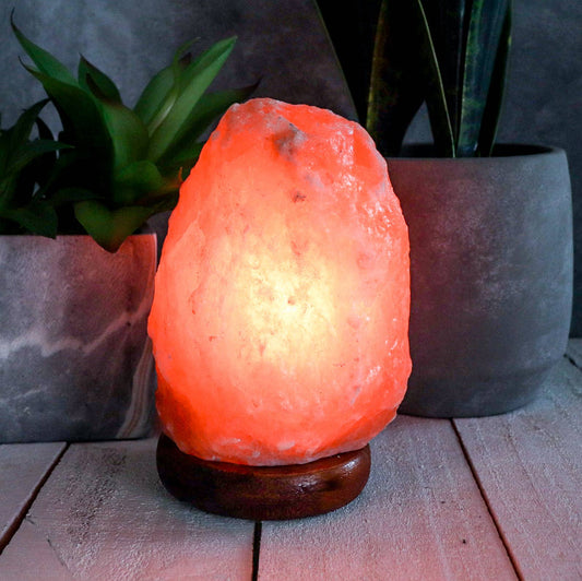 Himalayan Salt Lamp - Small - 7lbs