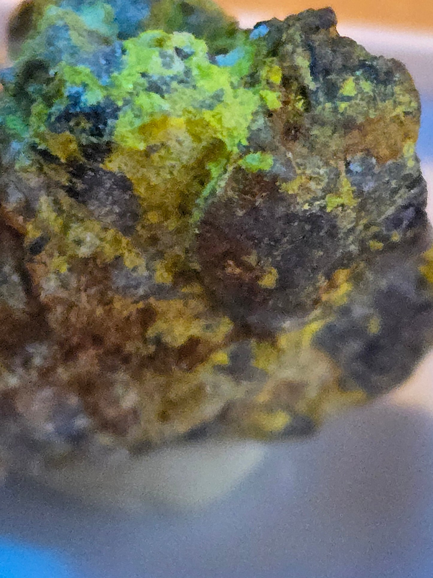 Dewindtite
