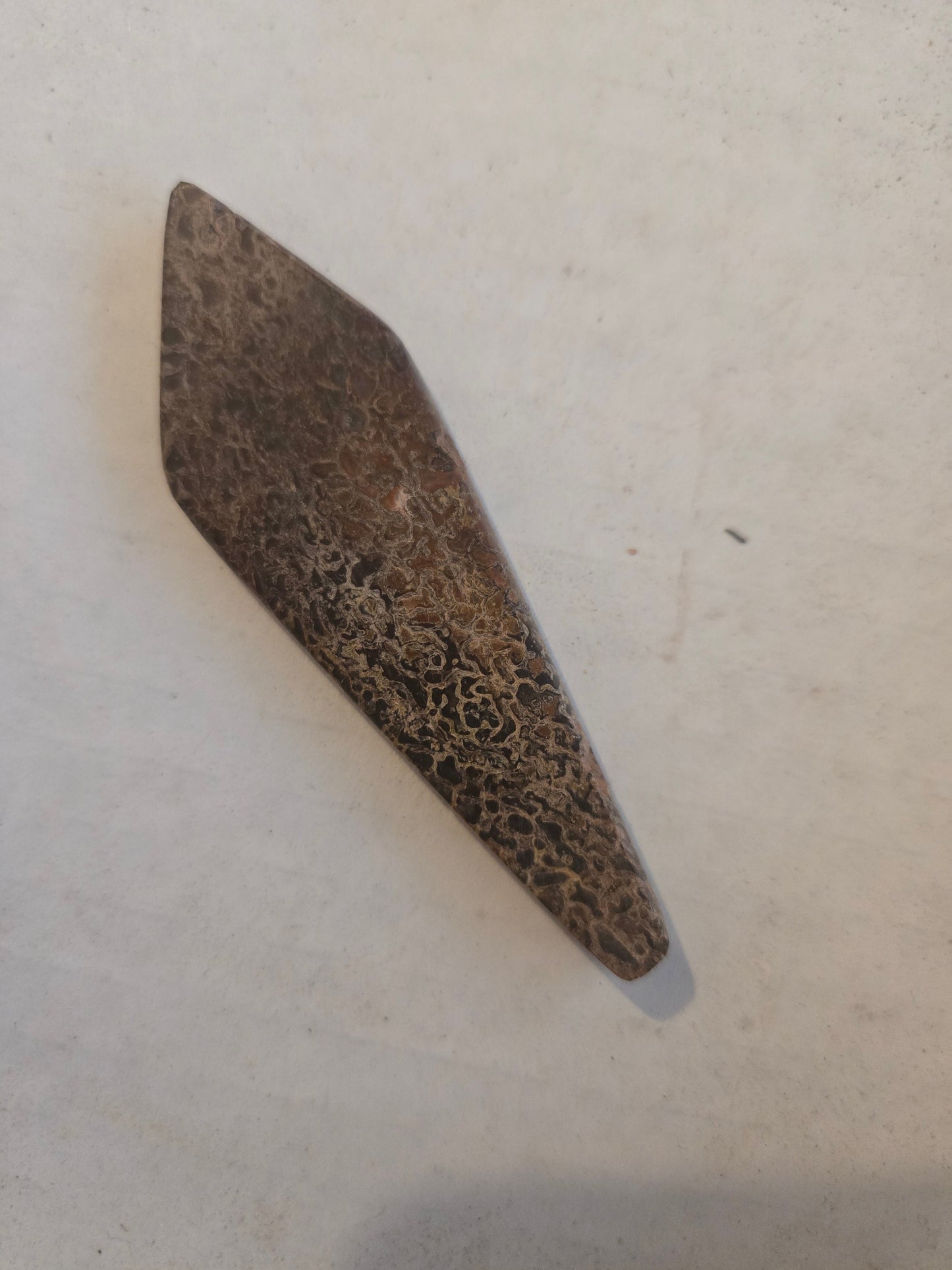 Dinosaur bone