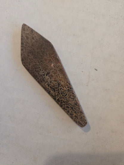 Dinosaur bone