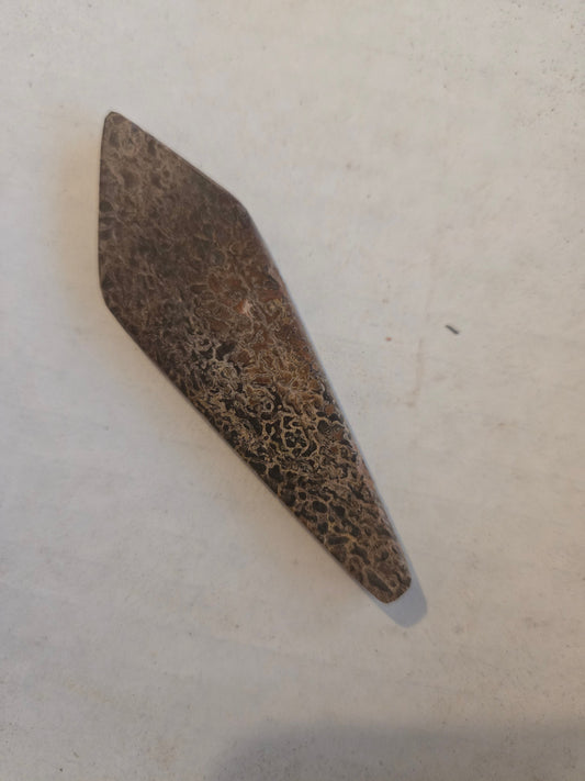 Dinosaur bone
